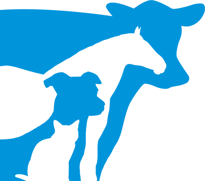 Logo Icon Blue